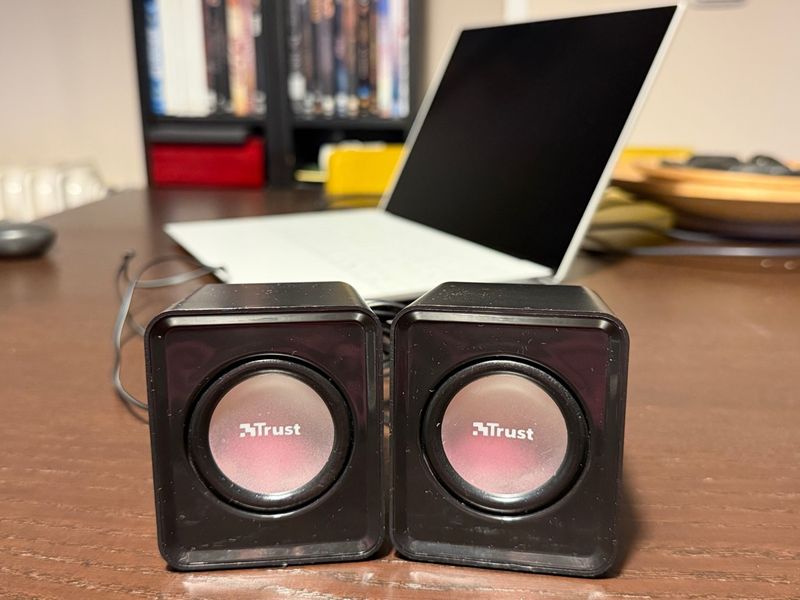 Altavoces USB Trust Negros y Plateados