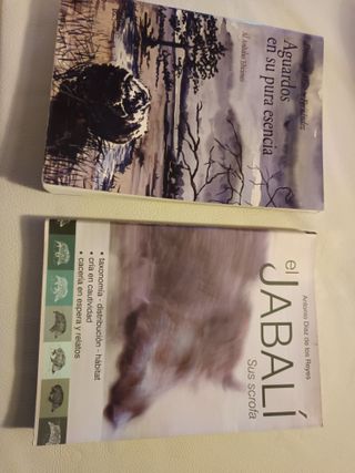 2 Libros: El Jabalí y Aguardos