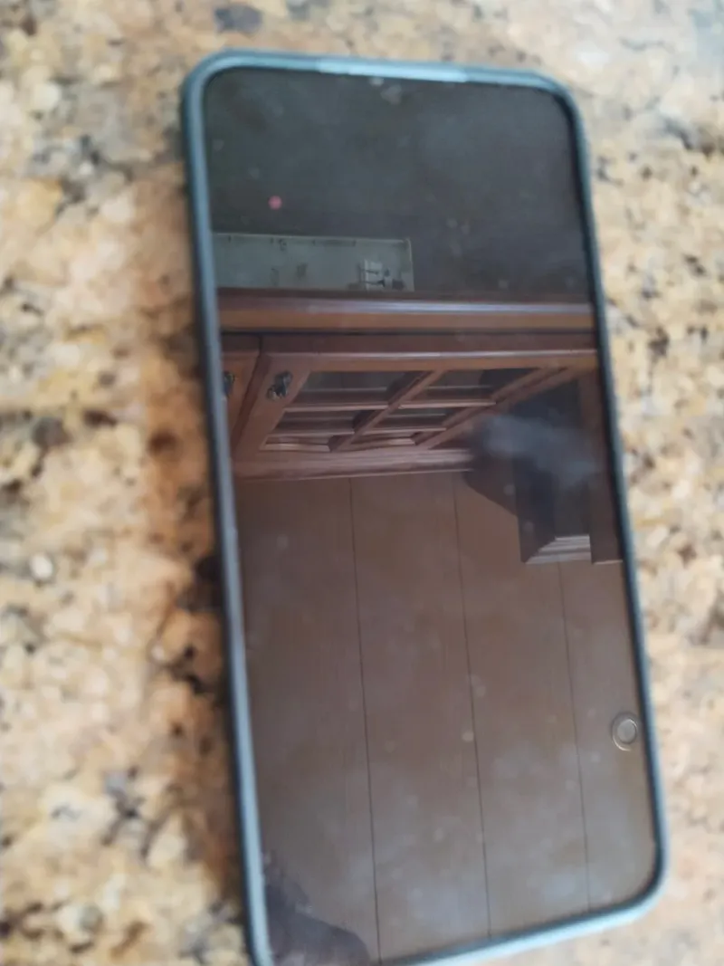 Samsung S25 FE GANGA