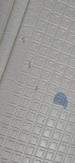 Box 120x120 con tappetone