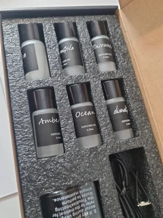 Ambientador Coche Smart Air Diffuser