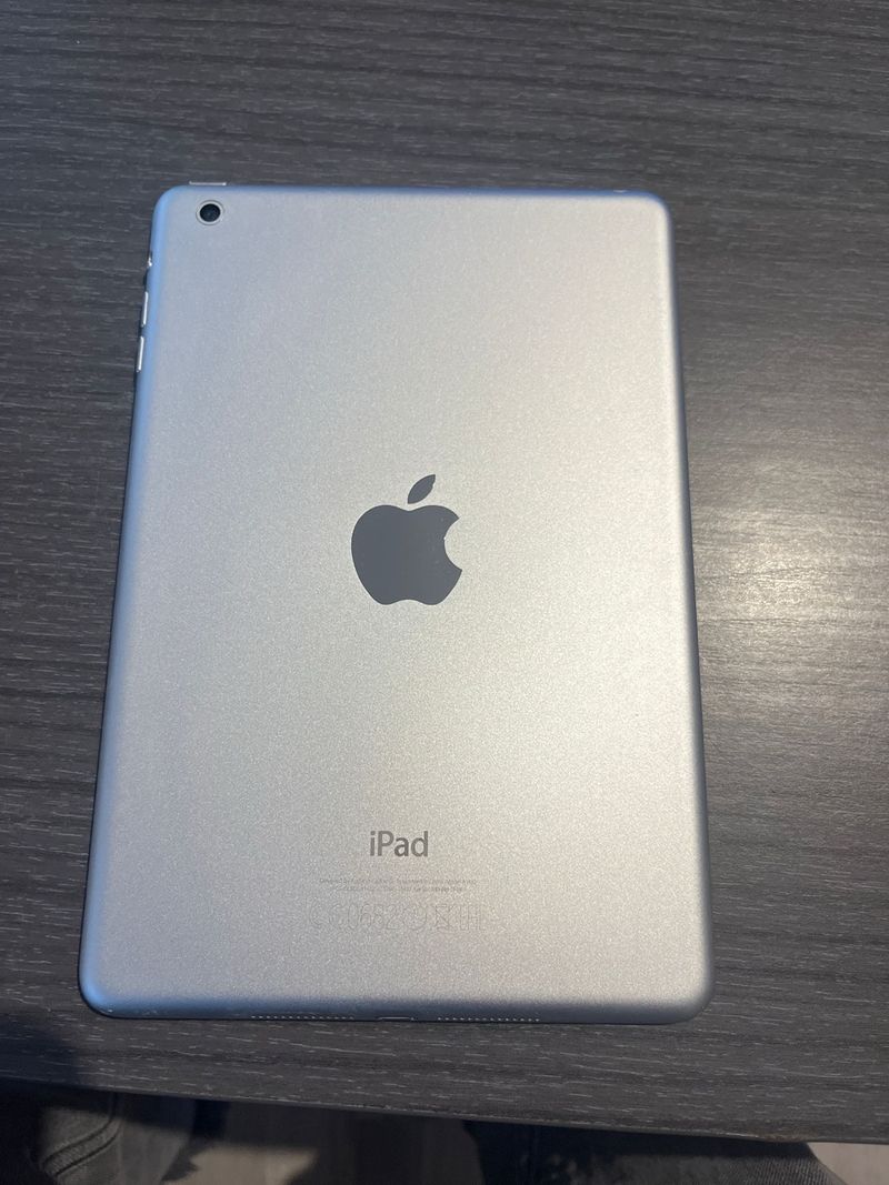 Apple iPad Plata