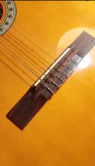 Guitarra Española Sonora