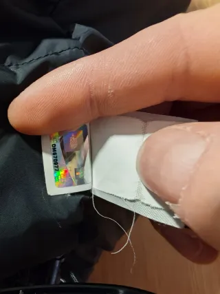 Parka The North Face