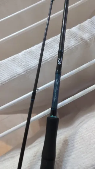 Caña de pesca spinning