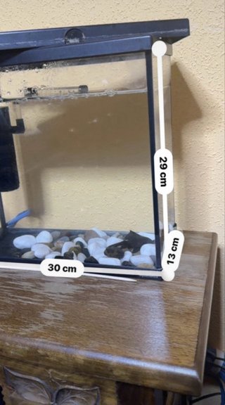 Acuario 11L + Filtro NICREW