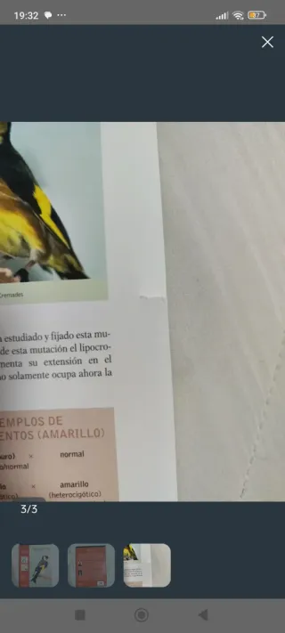 Libro jilgueros y especies afines