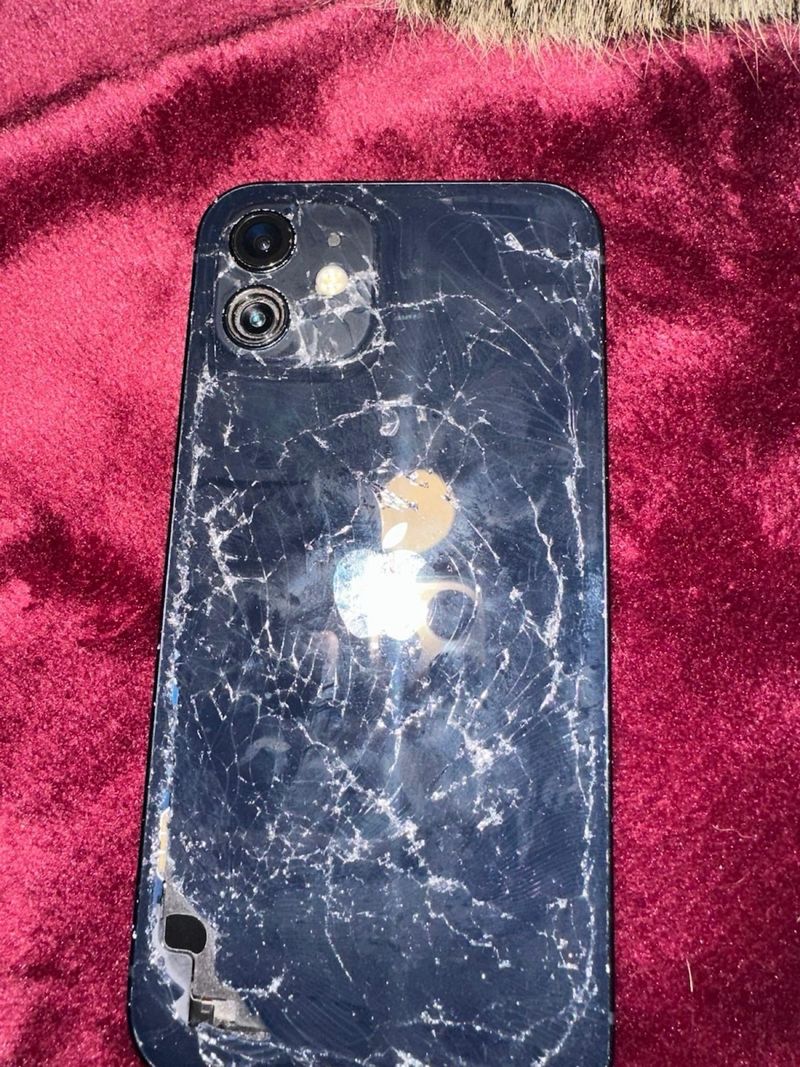 iPhone 12 Negro