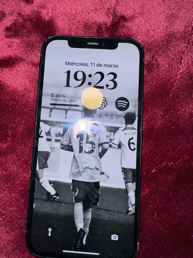 iPhone 12 Negro afbeelding 2