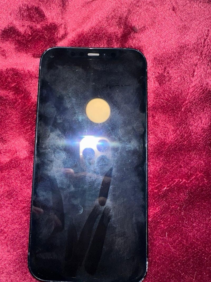 iPhone 12 Negro afbeelding 3