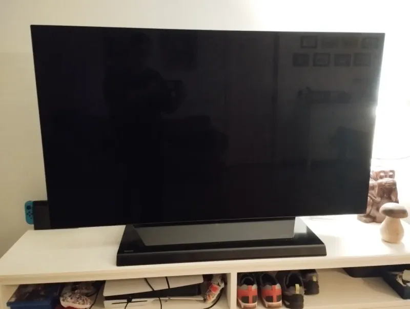 TV OLED LG 55 B8PLA afbeelding 2