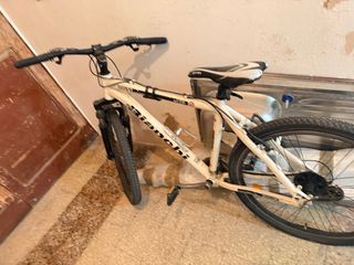 MTB Bianchi Boss 4800 26