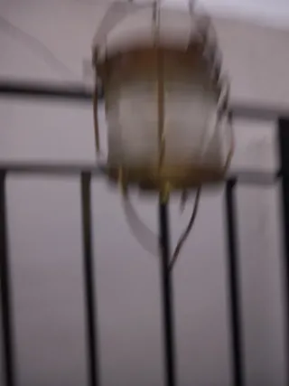 Lámpara Barco Nippon Sento 1975 ofertón oportunida