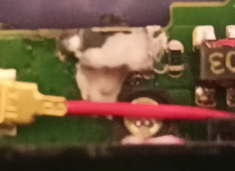 Nintendo New 2DS XL Para Reparar carcasa impoluta afbeelding 8