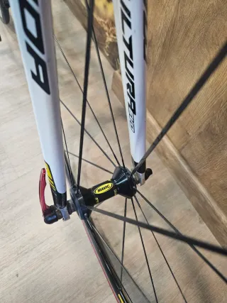 Merida Scultura Evo 904