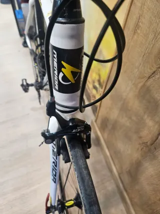 Merida Scultura Evo 904