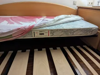Cama nido