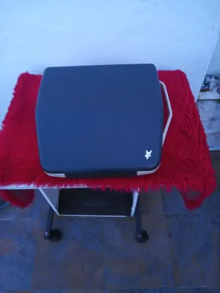 Máquina de escribir con estuche