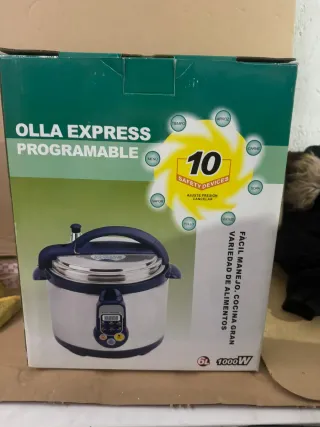 Olla Express Programable 6L 1000W