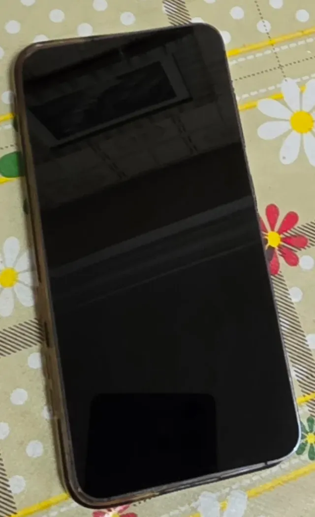 Samsung S24 Negro Seminuevo