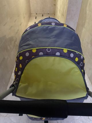 Carro gemelar Chic4baby con portabebe
