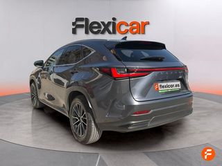 Lexus NX 450h+ Executive 4WD