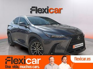 Lexus NX 450h+ Executive 4WD