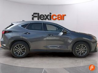 Lexus NX 450h+ Executive 4WD