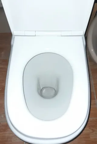 Inodoro con salida  vertical  ( al suelo )