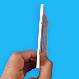 The Newzealand Story / Master System