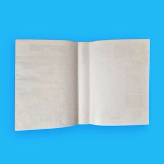 The Newzealand Story / Master System