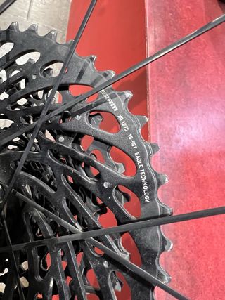 Llantas Roval Terra CLX gravel