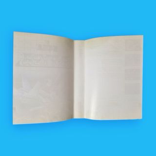 RType / Master System