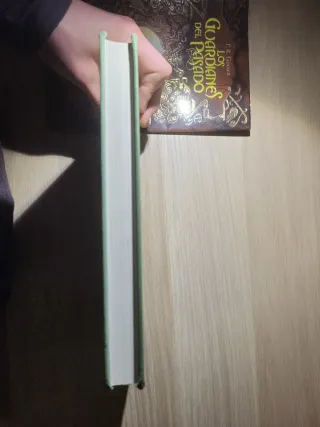 Los Guardianes del Pasado