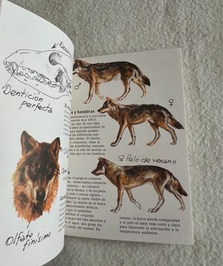 CUADERNOS DE CAMPO FELIX RODRÍGUEZ