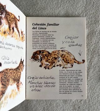 CUADERNOS DE CAMPO FELIX RODRÍGUEZ