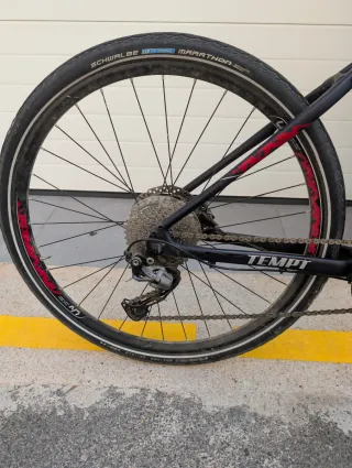 Bicicleta Liv Tempt MPT