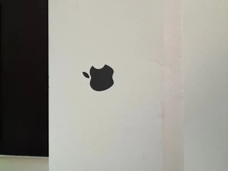 Airpods Max Negro afbeelding 5