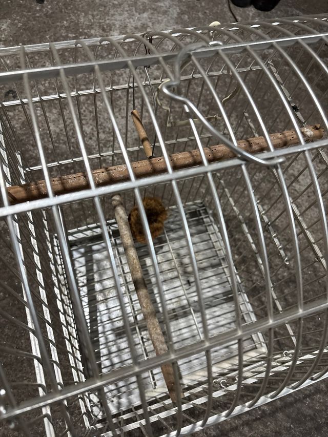 Jaula para pájaros plateada