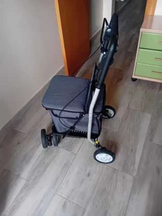 Carro andador ancianos