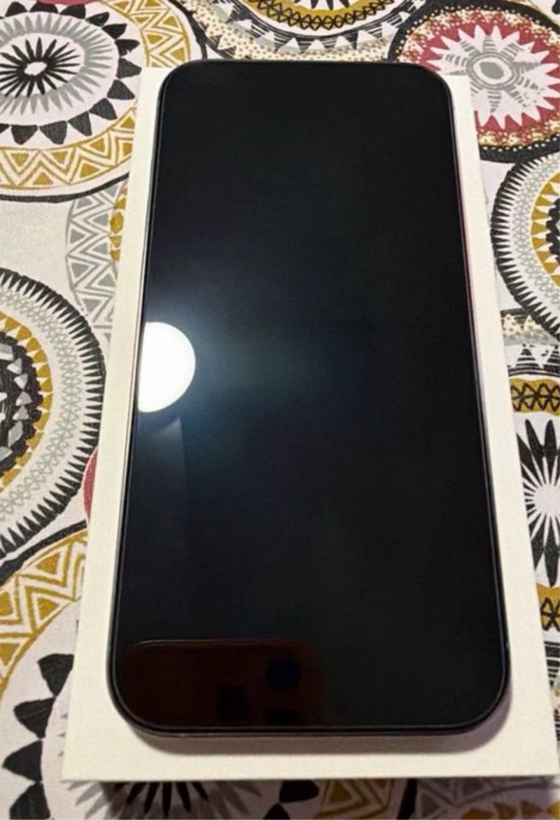 iPhone 16 Pro Plata afbeelding 4
