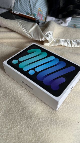 iPad mini 6 Grigio Siderale