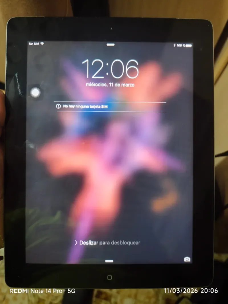 Apple iPad Negro