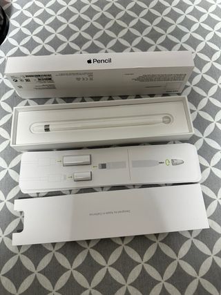 Apple Pencil 1ª Gen + Adattatore iPad 10 e iPad A16