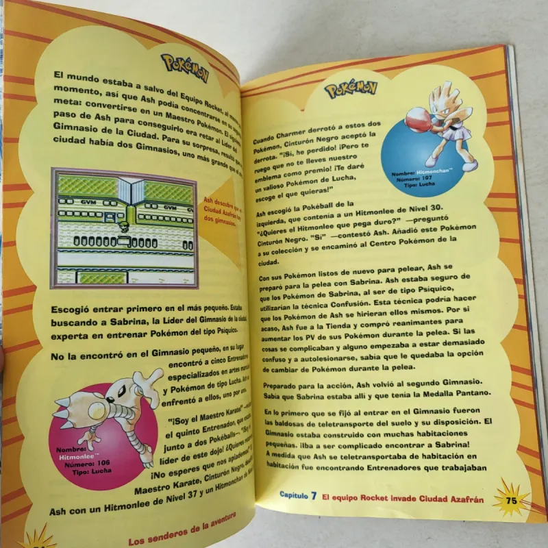 Guía Práctica de Pokémon - Nintendo afbeelding 4