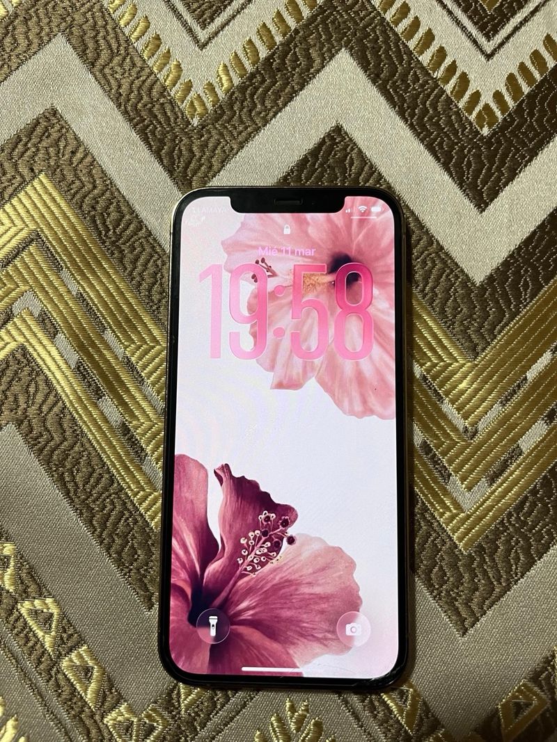 iPhone 12 Pro Dorado afbeelding 7