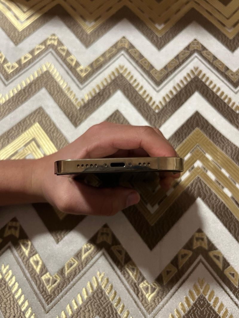 iPhone 12 Pro Dorado afbeelding 4