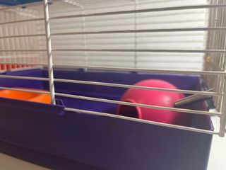 Caseta para hámster con accesorios