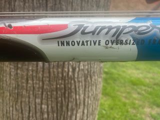 Bicicleta de Montaña Azul