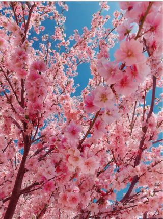 Cositas de niñ@ y hogar